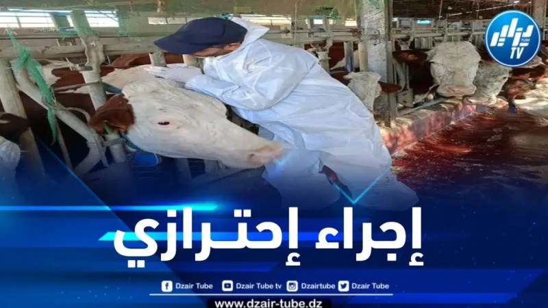 المدية : غلق أسواق الماشية مؤقتاً وبصفة إحترازية 