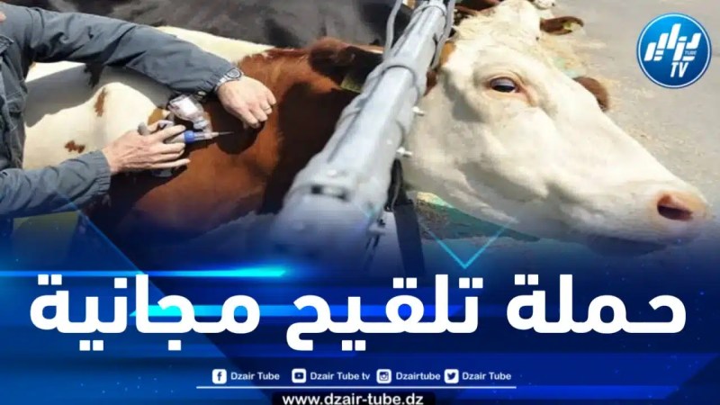 المدية : إطلاق حملة تلقيح مجانية ضد الحمى القلاعية