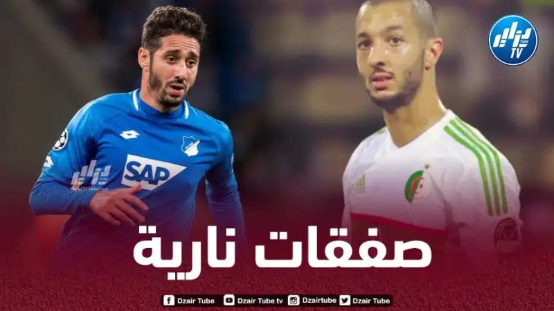 إدارة شباب بلوزداد تستهدف التعاقد مع بلفوضيل و هني