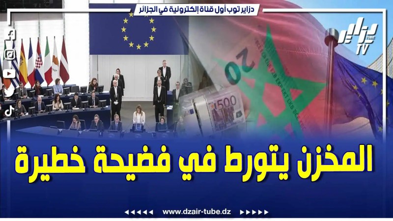 دزاير توب تفجر فضيحة ماروك غايت .. القضاء البلجيكي يستجوب مسؤولين مغاربة