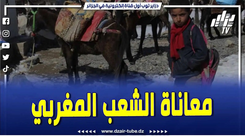 فيديو دزاير توب: دزاير توب تكشف عن الحالة الكارثية التي يعيشها منكوبو زلزال الحوز بسبب سلطات المخزن