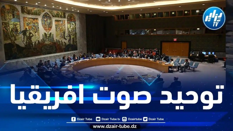 الجزائر تبدأ ولايتها كعضو غير دائم في مجلس الأمن الدولي