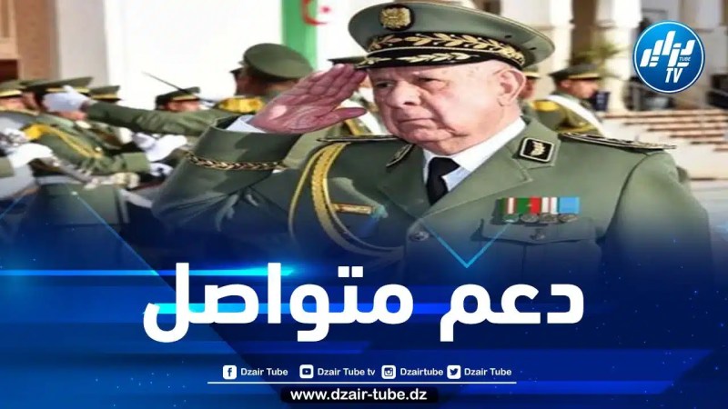 شنقريحة: الجزائر ستبقى وفية لمواقفها تجاه القضايا العادلة عبر العالم