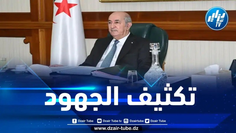 الرئيس تبون: التعاون جنوب – جنوب حجر الزاوية في تحقيق التطلعات المشتركة للدول النامية
