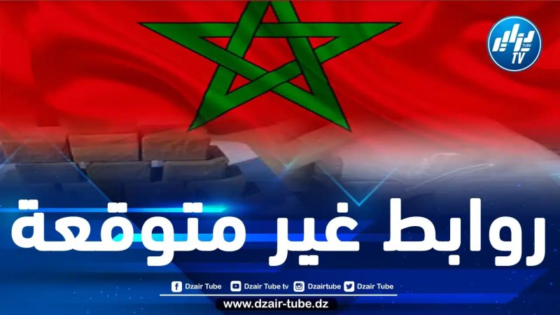 فضيحة “إسكوبار الصحراء” في المغرب: عندما تختلط السياسة وتجارة المخدرات داخل دهاليز المخزن