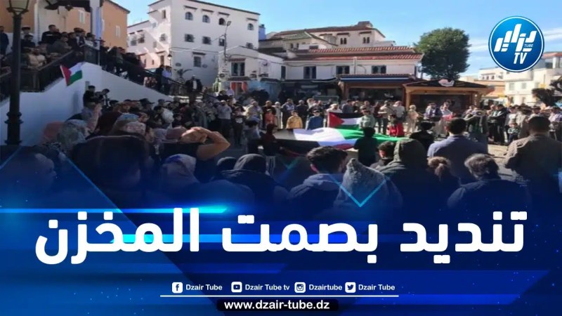 المغرب: 115 مظاهرة تضامنية مع غزة في يوم واحد