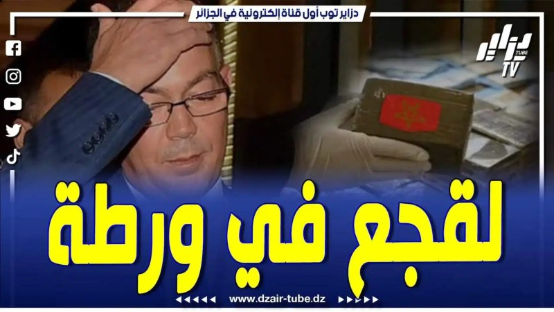 فيديو دزاير توب: نشرة دزاير توب.. خبر عاجل جداً… المنتخب المغربي تحت الصدمة
