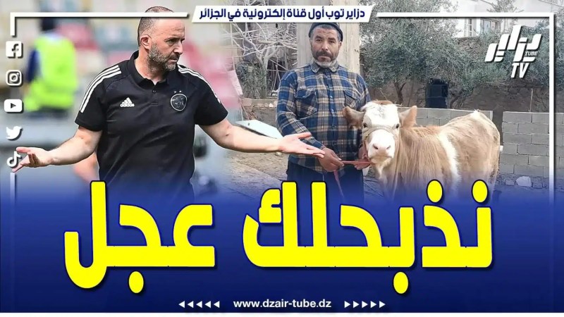 فيديو دزاير توب: من الشلف الحلج تقلق على جال ماتش تاع غدوة .. يا بلماضي اربح غدوة ونذبحلك عجل