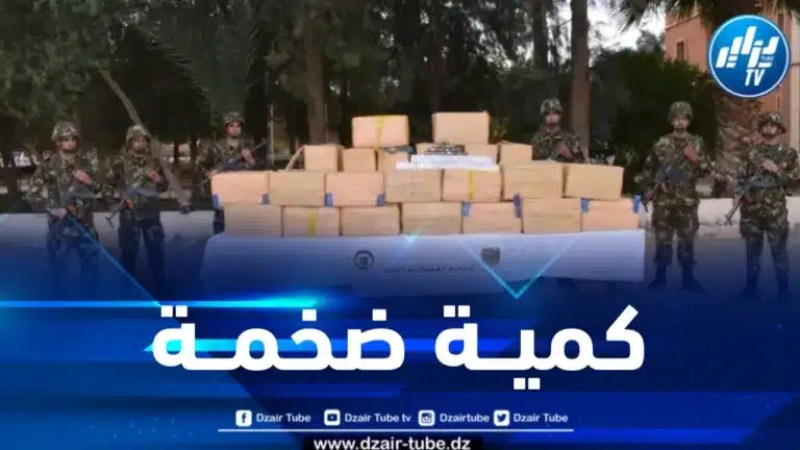 إحباط محاولات إدخال 573 قنطارا من المخدرات عبر الحدود مع المغرب خلال سنة 2023