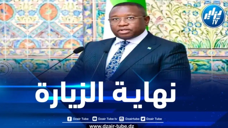الرئيس السيراليوني يغادر الجزائر 