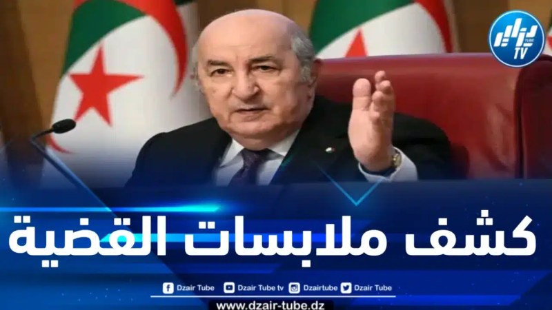 بأمر من رئيس الجمهورية .. فتح تحقيق في حادثة تسلل شاب عبر طائرة متجهة إلى مطار أورلي