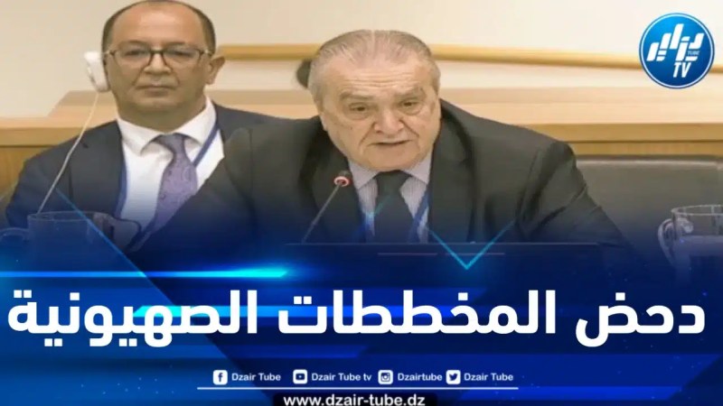 الجزائر تطالب برفض تهجير الفلسطينيين من قطاع غزة .. وبن جامع يزلزل مجلس الأمن بخطاب قوي