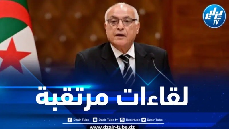 لقاءات مرتقبة لوزير الخارجية مع نظرائه العرب