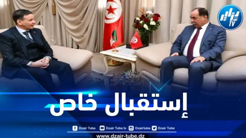 المدير العام للحماية المدنية يحظى باستقبال من طرف وزير الداخلية التونسي