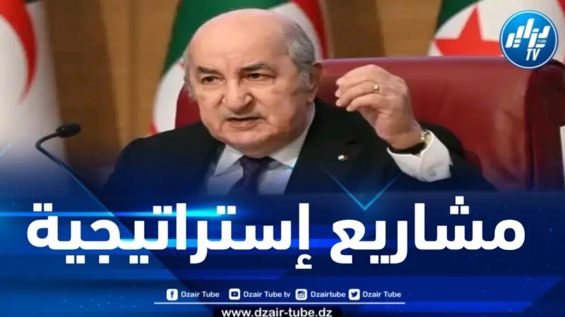 رئيس الجمهورية يستعرض أهم المشاريع الحيوية المشتركة للجزائر مع قارة إفريقيا