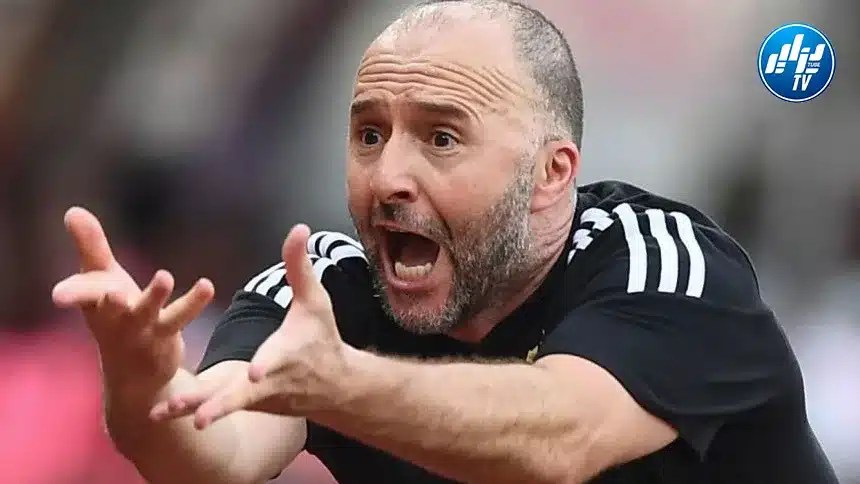بلماضي : “لم نفز بالكان في أدغال أفريقيا وسنعمل المستحيل لتكرار إنجاز 2019”