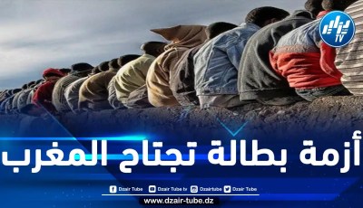 المخزن يصطدم بالجدار.. الاقتصاد المغربي يفقد 157 ألف منصب عمل خلال سنة 2023