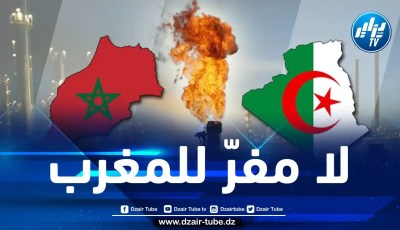 أزمة البحر الأحمر كشفت خطأه في المراهنة على الكيان الصهيوني.. المخزن مجبر على التوسّل للجزائر من أجل الحصول على احتياجاته من الغاز والنفط