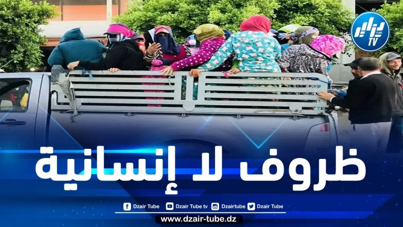 المغرب: يعشن في ظل ظروف عمل مزرية.. حكومة المخزن مطالبة بشرح الأسباب وراء ازدياد عدد الوفيات وسط العاملات في الزراعة أثناء نقلهم للمزارع 