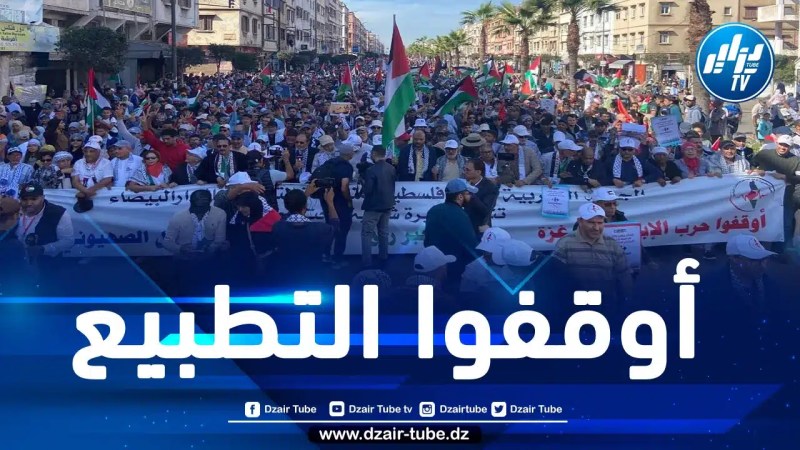 مغاربة يحتجون في اليوم الوطني للتضامن مع فلسطين ويطالبون بوقف الإبادة في غزة