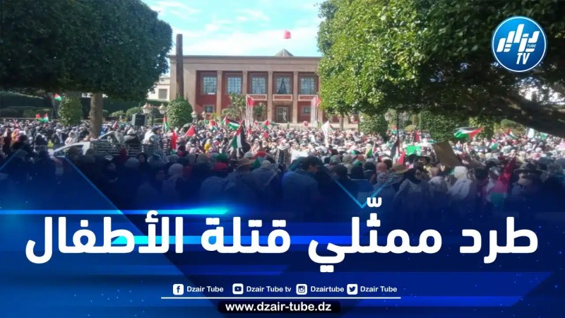 أكّد أنّه لن يبقى مكتوف الأيدي ليظلّ ضحية لقرار انفرادي لا يمثّله.. الشعب المغربي يطالب المخزن بإسقاط خطيئة التطبيع