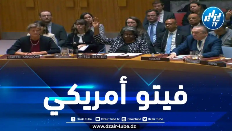 الولايات المتحدة تستخدم الفيتو ضد مشروع قرار جزائري يدعو للوقف الإنساني لإطلاق النار في غزة