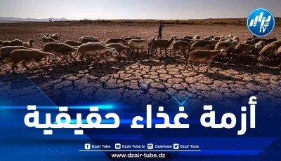 المغرب: جفاف غير مسبوق يهدد الموسم الفلاحي