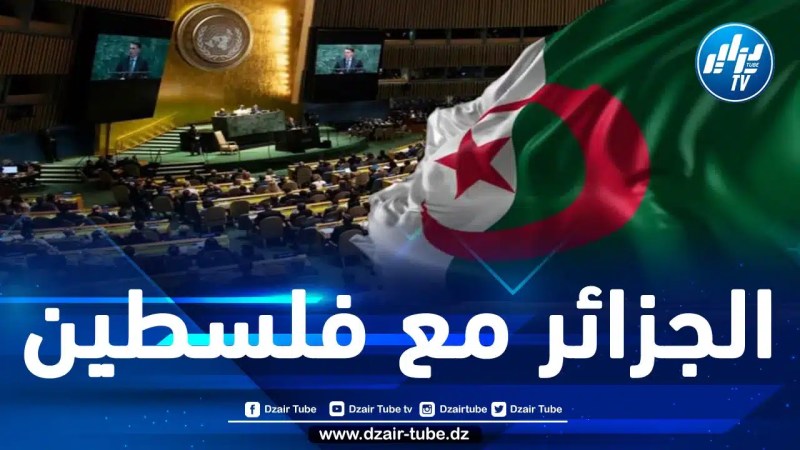 الجزائر ستعود غدا لتدق أبواب مجلس الأمن وتطالب بوقف حمام الدم في فلسطين ولن تتوقف حتى يتحمل كامل مسؤولياته