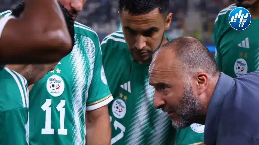 مصادر دزاير توب : 8 أسماء على الطاولة لإختيار خليفة بلماضي !