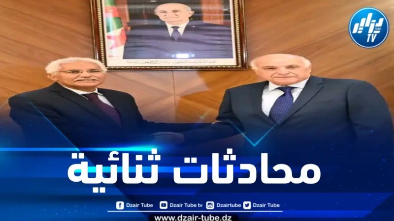 وزير الخارجية يستقبل نظيره الصحراوي 