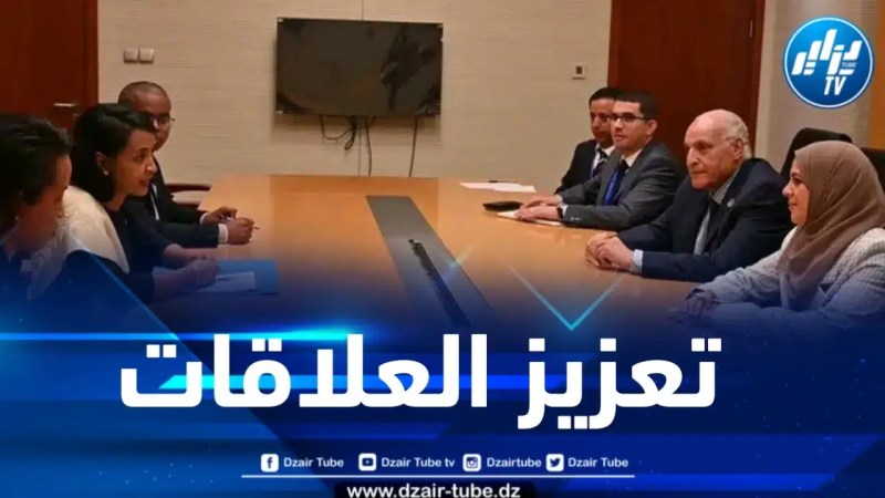 نحو تمتين روابط التعاون والتضامن التاريخية بين الجزائر ومدغشقر