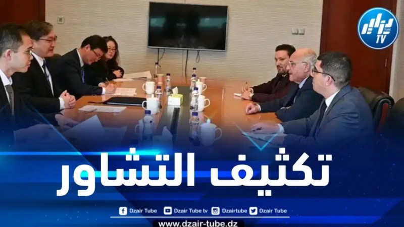 نحو تعزيز التنسيق البيني بين الجزائر والصين داخل مجلس الأمن 