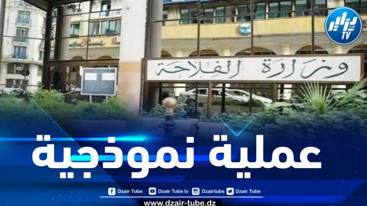 وزارة الفلاحة: الشروع في عملية إحصاء نموذجية بداية من يوم غد الأحد
