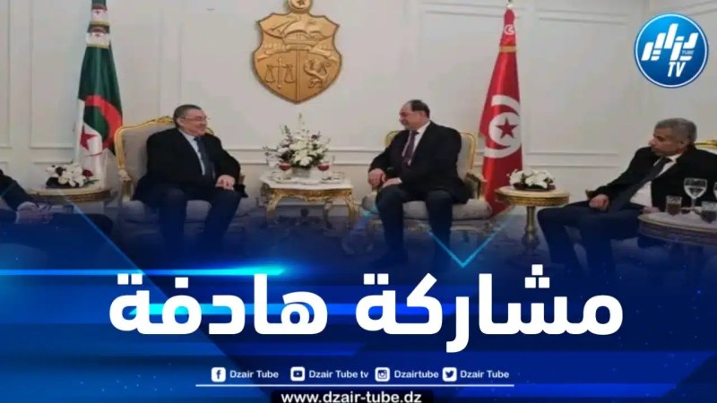 وزير الداخلية يشارك في أشغال الدورة الـ41 لمجلس وزراء الداخلية العرب