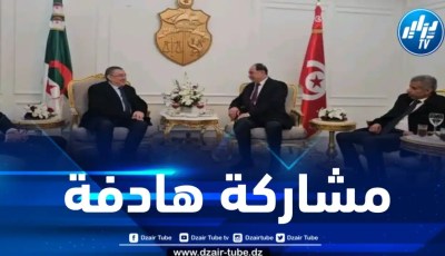 وزير الداخلية يشارك في أشغال الدورة الـ41 لمجلس وزراء الداخلية العرب