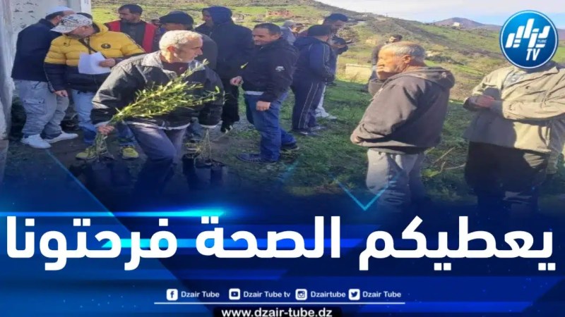 عقب تسلمهم لـ 03 آلاف شجيرة زيتون .. مواطنو سوق الجمعة ببجاية يثمنون مبادرة شركة GIG ALGERIA 