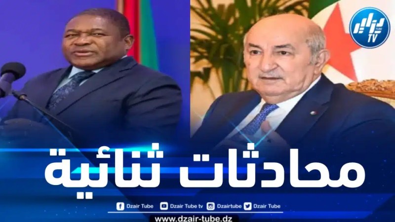 رئيس الجمهورية يجري محادثات مع نظيره الموزمبيقي