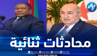 رئيس الجمهورية يجري محادثات مع نظيره الموزمبيقي