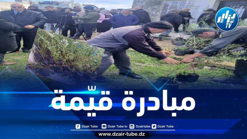 في مبادرة قيمة… GIG ALGERIA توزع 3 آلاف شجيرة زيتون على المتضررين من الحرائق ببجاية