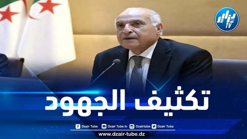 عطاف يشارك في اجتماع وزاري لمجموعة الدول الإفريقية العضوة بمجلس الأمن الأممي