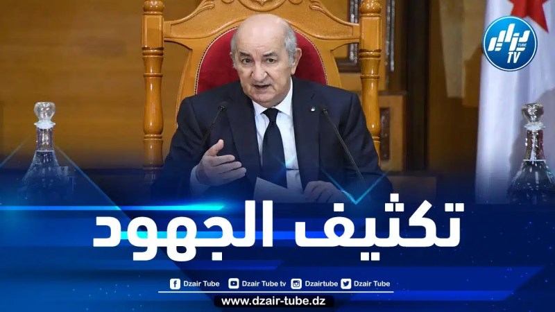 الرئيس تبون يدعو إلى تكثيف الجهود للإسراع في تنفيذ برنامج تثمين المحروقات