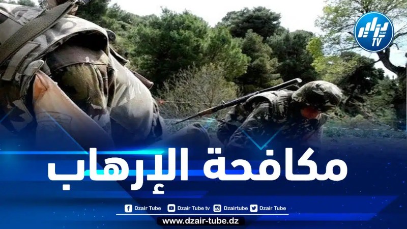 توقيف 29 عنصر دعم للجماعات الإرهابية