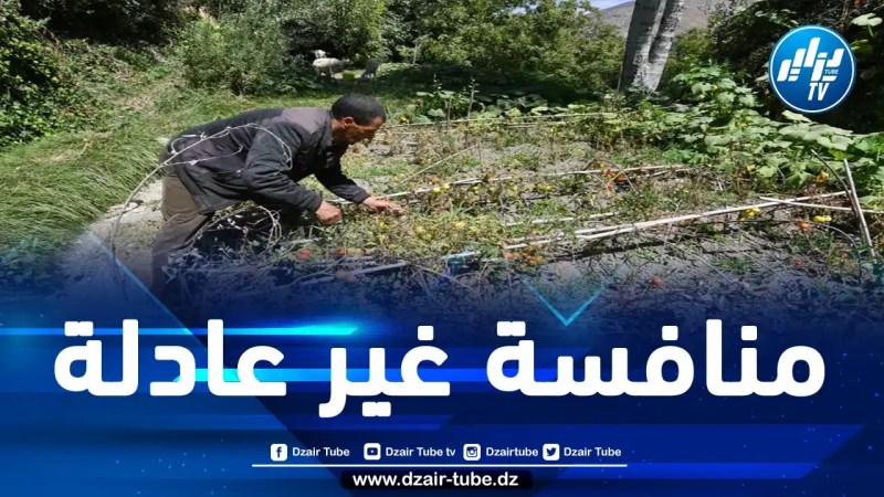 أزمة المزارعين في أوروبا تسبب خسائر للفلاحين المغاربة