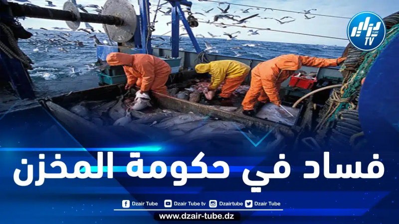 المغرب: موظفون كبار بقطاع الصيد البحري يمارسون الابتزاز ويطلبون رشاوي من الصيادين 