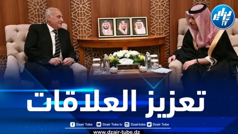 وزير الخارجية يبحث مع نظيره السعودي تعزيز وتوطيد العلاقات الثنائية 