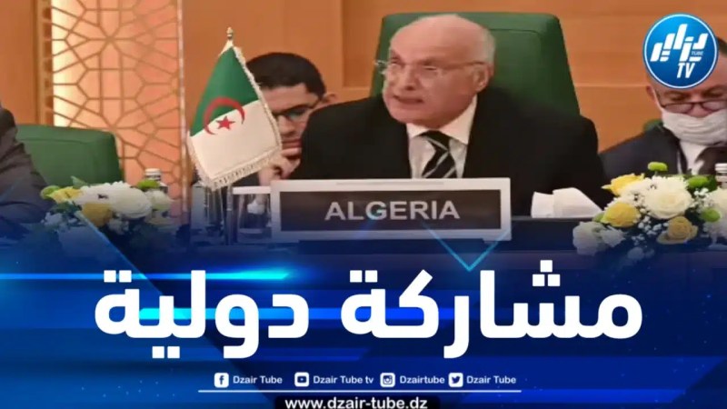 بتكليف من رئيس الجمهورية .. عطاف يحل بمصر