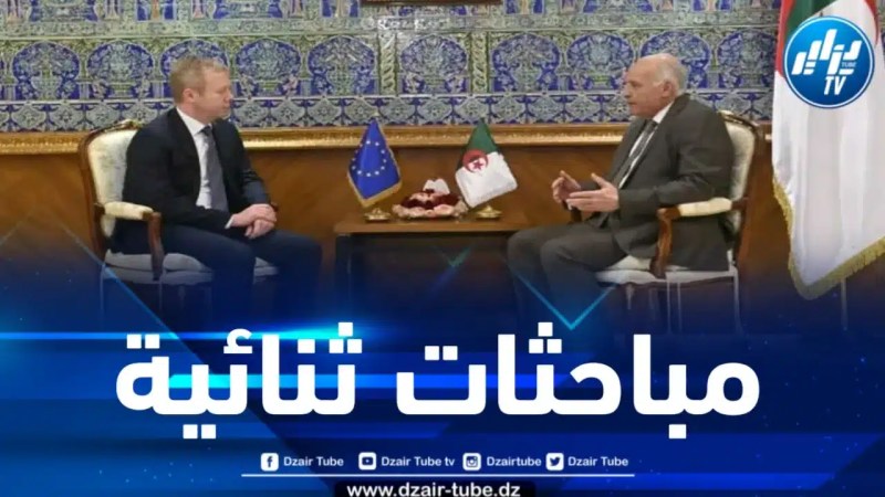 وزير الخارجية يستقبل الممثل الخاص للاتحاد الأوروبي