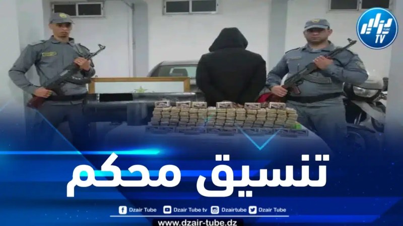 حجز 48 كيلوغراماً من الكيف المعالج بتلمسان