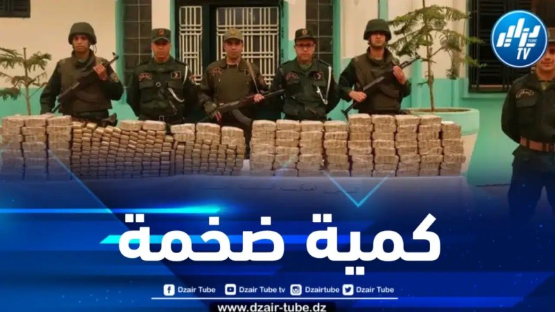 إحباط محاولات إدخال أزيد من 12 قنطاراً من الكيف المعالج عبر الحدود مع المغرب 