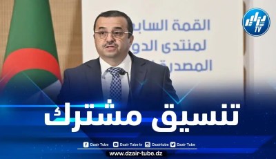 عرقاب: أنبوب الغاز العابر للصحراء أصبح منجزا تقنيا وماليا